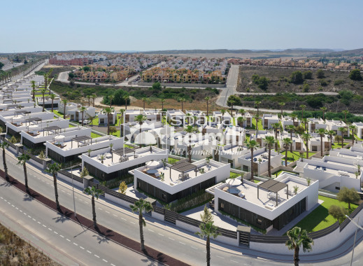 New Build - Detached house -
La Finca