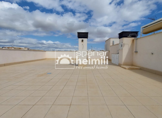 Obra nueva - Apartamento -
Villamartin