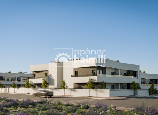 Nouvelle construction - Appartement -
San Miguel