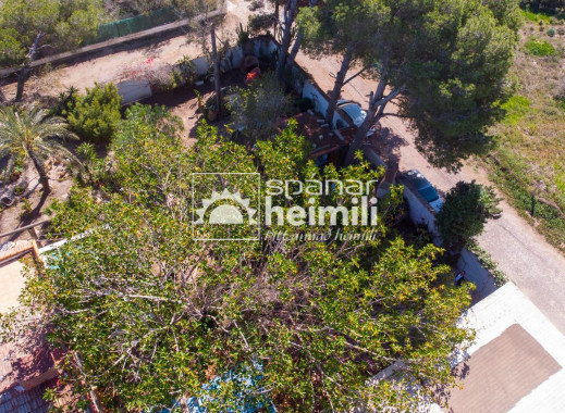 Endursala -  -
Cabo Roig