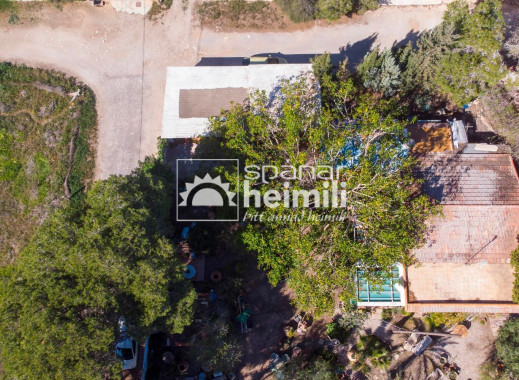 Endursala -  -
Cabo Roig