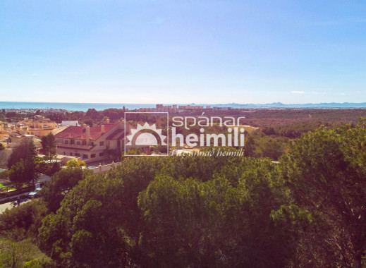 Endursala -  -
Cabo Roig