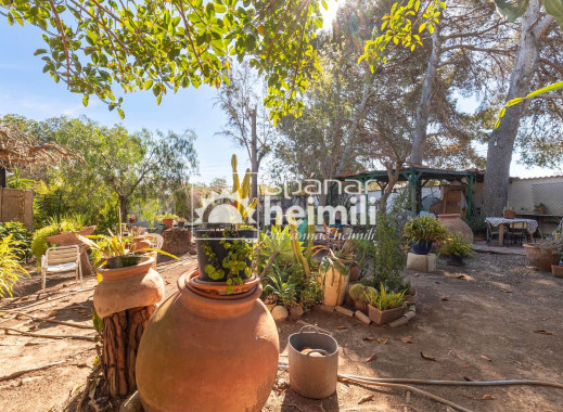 Endursala -  -
Cabo Roig