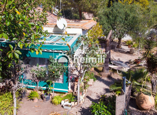 Endursala -  -
Cabo Roig