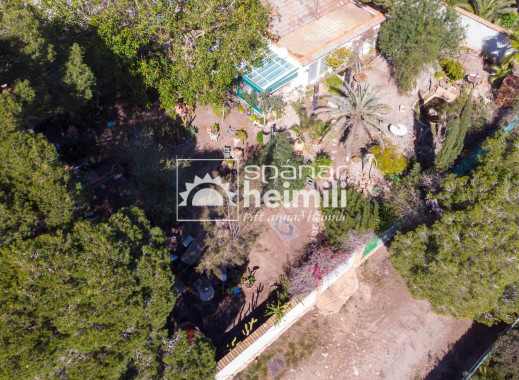 Endursala -  -
Cabo Roig