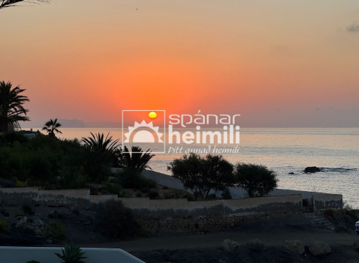 Obra nueva -  -
Almería