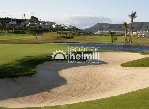 Endursala -  -
Sucina