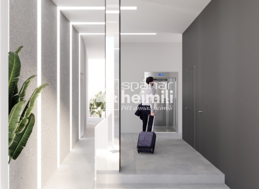 Obra nueva - Apartamento -
Torrevieja