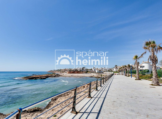 Nybyggeri -  -
La Zenia