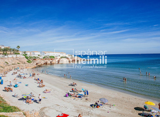 Nybyggeri -  -
La Zenia