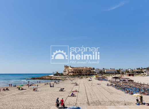 Nybyggeri -  -
La Zenia