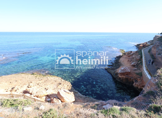 Endursala -  -
Cabo Roig