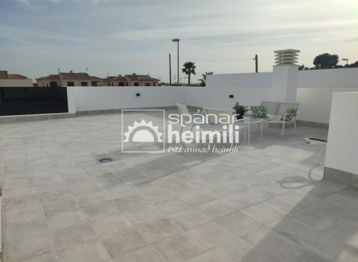 Obra nueva - Villa -
Balsicas