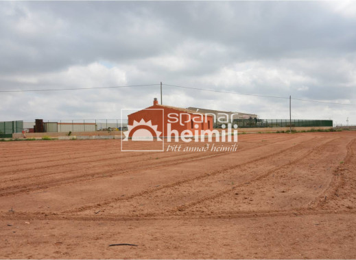 Videresalg -  -
Cartagena