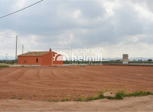 Videresalg -  -
Cartagena