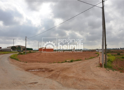 Videresalg -  -
Cartagena