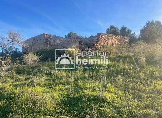 Endursala -  -
Cartagena