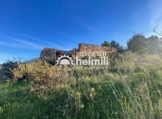 Endursala -  -
Cartagena