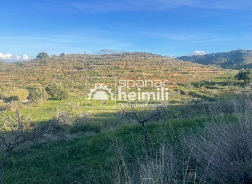 Endursala -  -
Cartagena