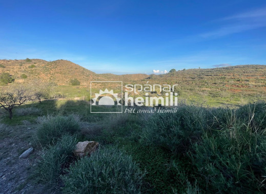 Endursala -  -
Cartagena