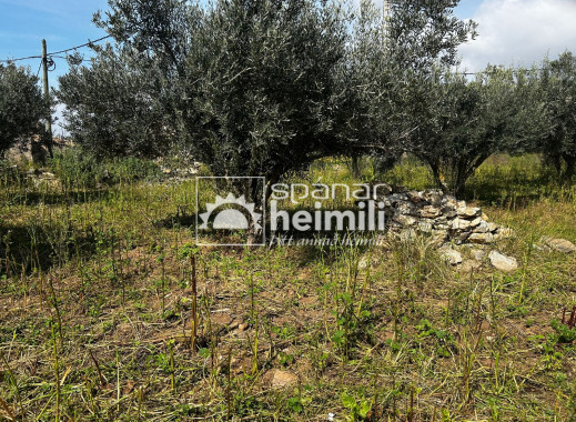 Reventa - Casa estilo finca -
Cartagena