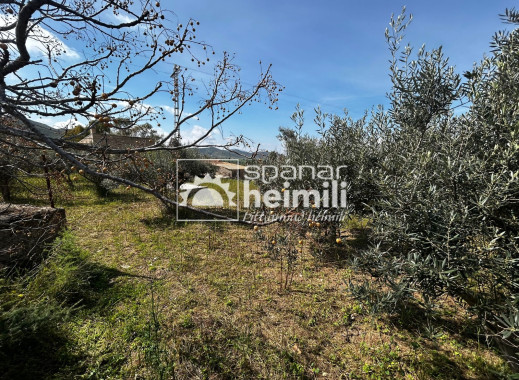 Reventa - Casa estilo finca -
Cartagena