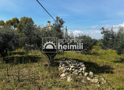 Reventa - Casa estilo finca -
Cartagena