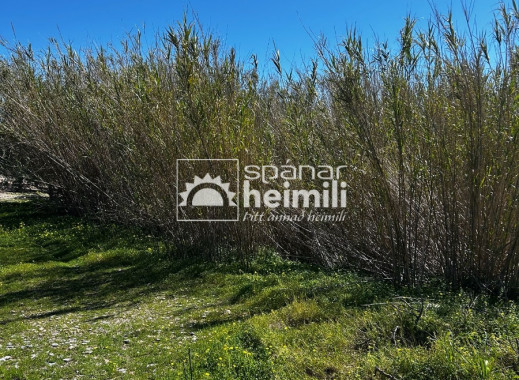 Endursala - Sveitabýli -
Cartagena