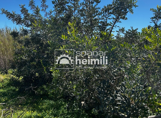 Endursala - Sveitabýli -
Cartagena