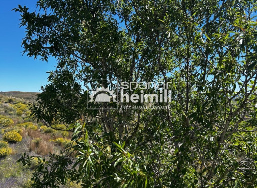 Endursala - Sveitabýli -
Cartagena