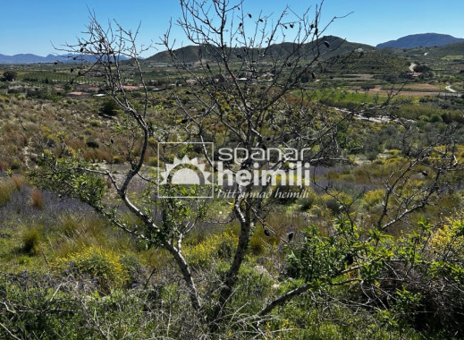 Endursala - Sveitabýli -
Cartagena