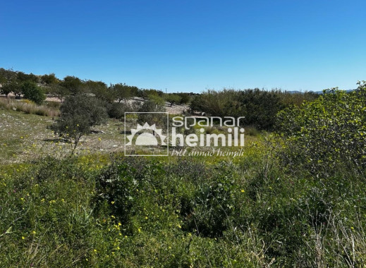 Endursala - Sveitabýli -
Cartagena