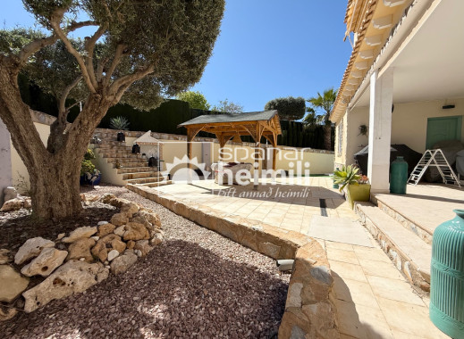 Endursala -  -
Algorfa/Los Montesinos