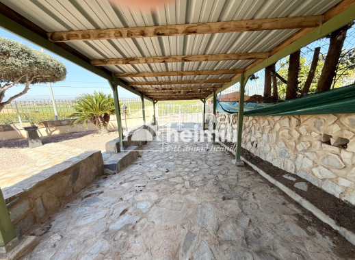 Endursala -  -
Algorfa/Los Montesinos