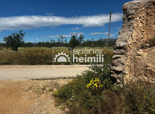 Herverkoop -  -
Cartagena