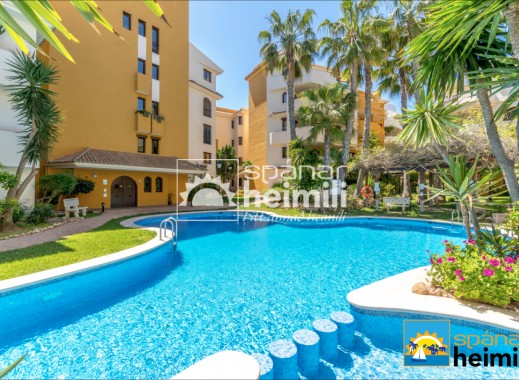 Reventa - Apartamento -
Punta Prima