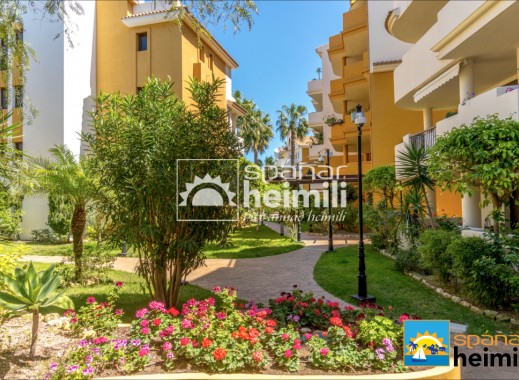 Reventa - Apartamento -
Punta Prima