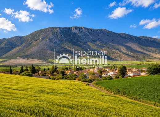 Revente - Maison de campagne -
Murcia