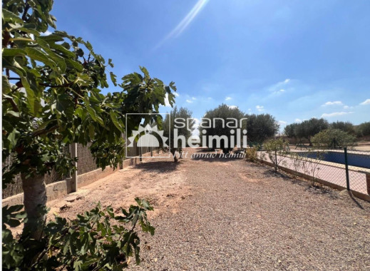Resale - Finca style house -
Balsapintada - balsapintada
