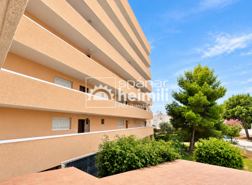 Reventa - Apartamento -
La Zenia