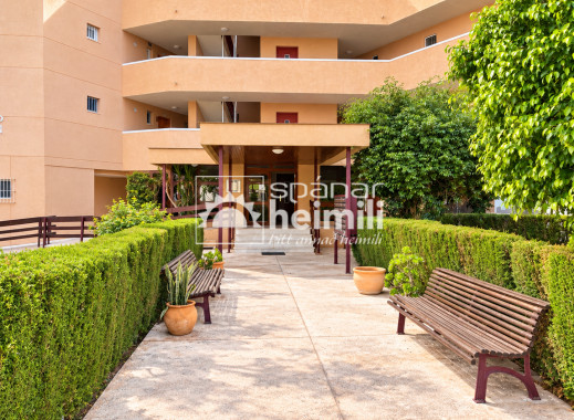 Reventa - Apartamento -
La Zenia
