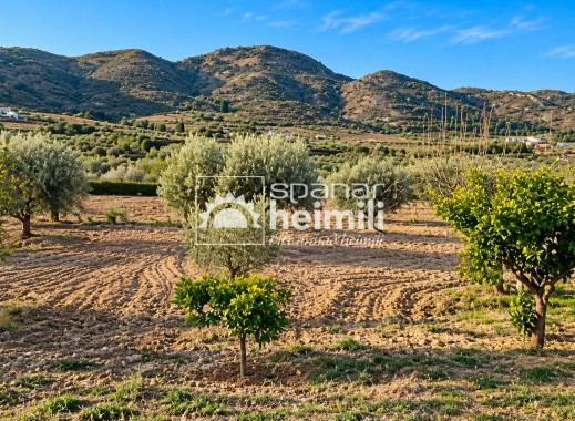 Reventa - finca -
Tallante