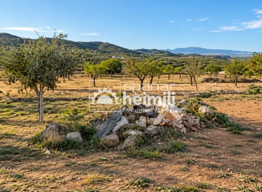 Reventa - finca -
Tallante