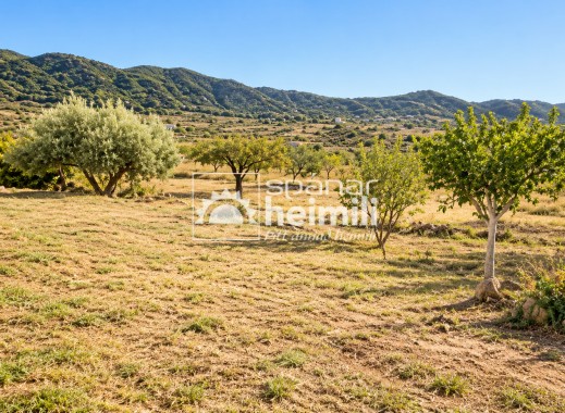 Reventa - finca -
Tallante