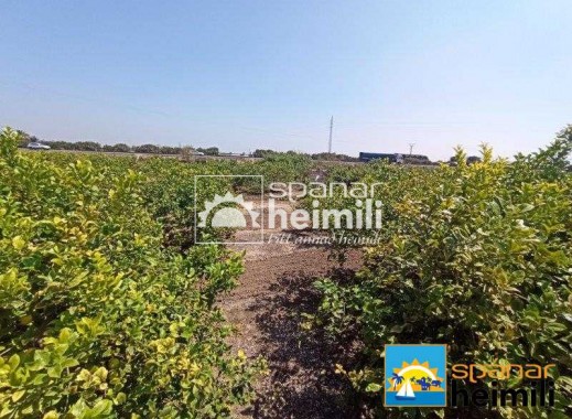 Videresalg - Villa -
San Miguel