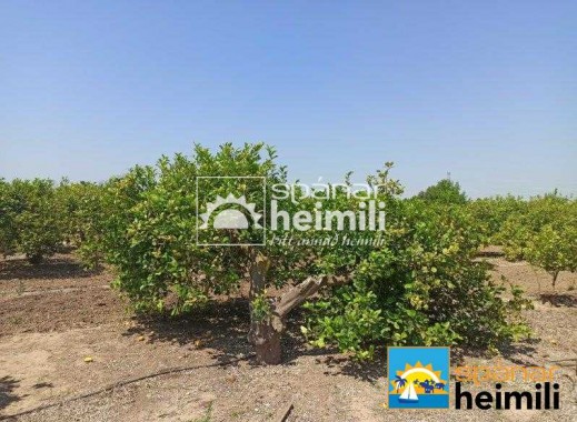 Videresalg - Villa -
San Miguel