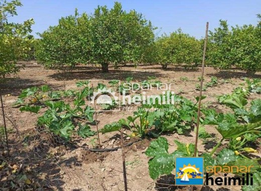 Videresalg - Villa -
San Miguel