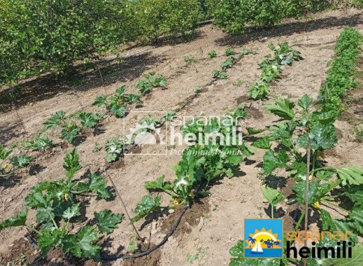 Videresalg - Villa -
San Miguel