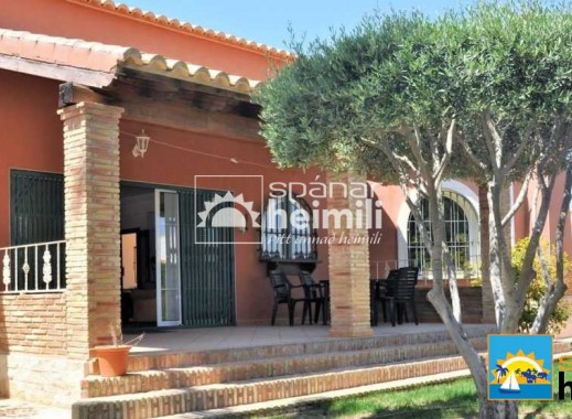 Resale - Detached house -
La Zenia